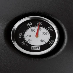 Weber Q3200 Gasgrill 21 Weber Q3200 Gasgrill -GREENHAND butik 62501937274 12