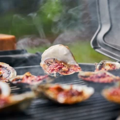 Weber Q3200 Gasgrill 27 Weber Q3200 Gasgrill -GREENHAND butik 62501937274 18