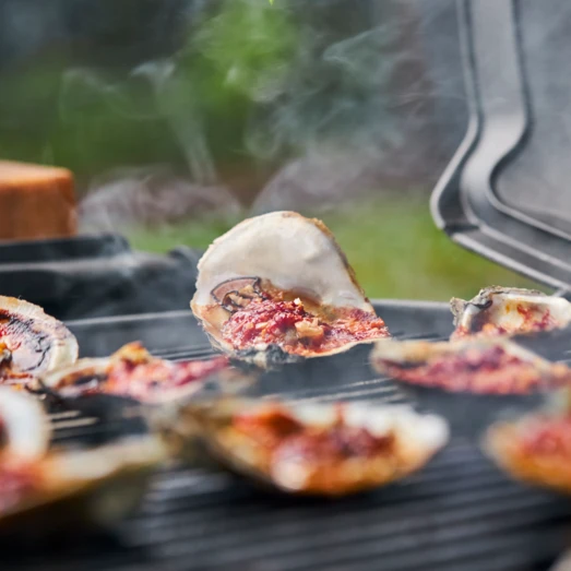 Weber Q3200 Gasgrill 14 Weber Q3200 Gasgrill - Billede 14